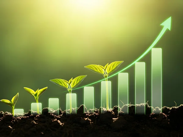 L'Écoresponsabilité